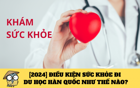 [2024] Điều kiện sức khỏe đi du học Hàn Quốc như thế nào?